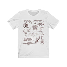 Load image into Gallery viewer, Zooarchaeology Shirt
