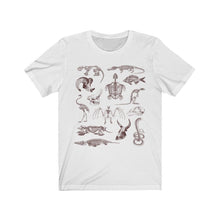 Load image into Gallery viewer, Zooarchaeology Shirt