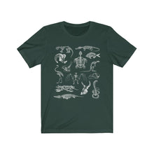 Load image into Gallery viewer, Zooarchaeology Shirt