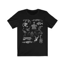 Load image into Gallery viewer, Zooarchaeology Shirt
