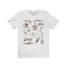 Load image into Gallery viewer, Zooarchaeology Shirt