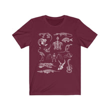 Load image into Gallery viewer, Zooarchaeology Shirt