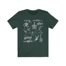 Load image into Gallery viewer, Zooarchaeology Shirt