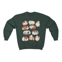 Load image into Gallery viewer, Guinea Pigs Sweatshirt - Tiny Beast Designs
