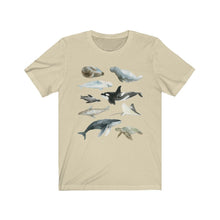 Load image into Gallery viewer, Marine Life Shirt - Tiny Beast Designs