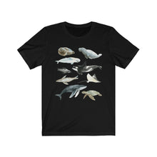 Load image into Gallery viewer, Marine Life Shirt - Tiny Beast Designs