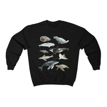 Load image into Gallery viewer, Marine Life Sweatshirt