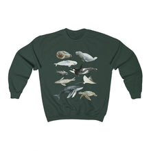 Load image into Gallery viewer, Marine Life Sweatshirt