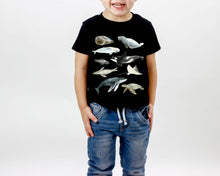 Load image into Gallery viewer, Marine Life Toddler Tee - Tiny Beast Designs