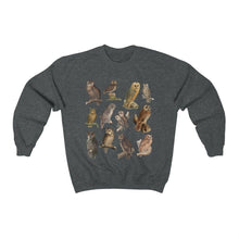 Load image into Gallery viewer, Owls of the World Sweatshirt