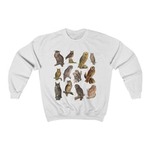 Load image into Gallery viewer, Owls of the World Sweatshirt