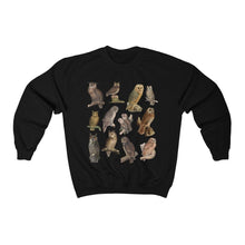 Load image into Gallery viewer, Owls of the World Sweatshirt