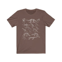 Load image into Gallery viewer, Paleontology Shirt
