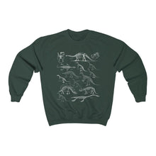 Load image into Gallery viewer, Paleontology Sweatshirt