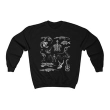 Load image into Gallery viewer, Zooarchaeology Sweatshirt