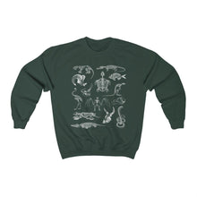 Load image into Gallery viewer, Zooarchaeology Sweatshirt