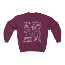 Load image into Gallery viewer, Zooarchaeology Sweatshirt