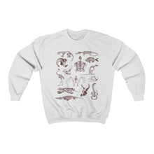Load image into Gallery viewer, Zooarchaeology Sweatshirt