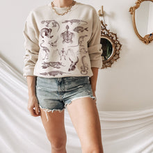 Load image into Gallery viewer, Zooarchaeology Sweatshirt