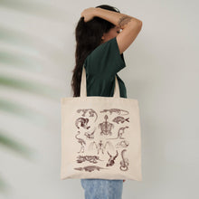 Load image into Gallery viewer, Zooarchaeology Tote Bag - Tiny Beast Designs