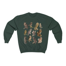 Load image into Gallery viewer, Owls of the World Sweatshirt
