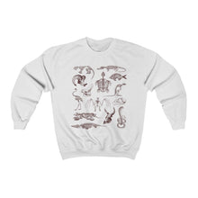 Load image into Gallery viewer, Zooarchaeology Sweatshirt
